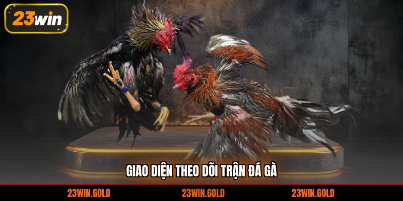 Giao diện theo dõi trận đá gà